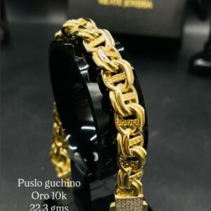 Puslo guchino